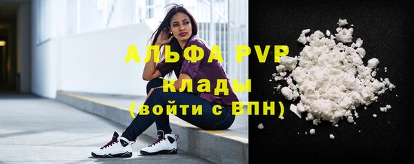 ПСИЛОЦИБИНОВЫЕ ГРИБЫ Абаза