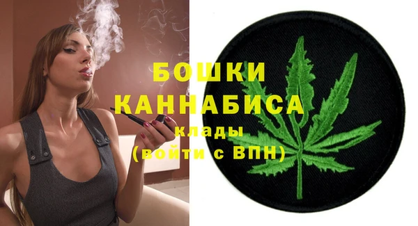 ПСИЛОЦИБИНОВЫЕ ГРИБЫ Абаза